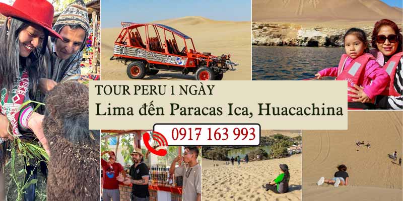 tour 1 ngày lima paracas ica huacachina