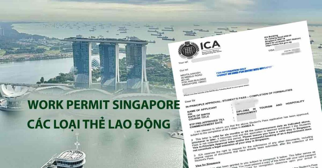 work permit singapore thẻ lao động employmnet pass